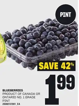Loblaws BLUEBERRIES, PINT offer
