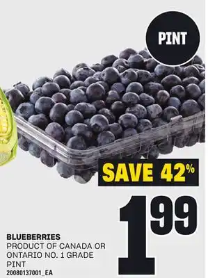 Loblaws BLUEBERRIES, PINT offer