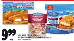 Metro BLUE WATER FISH FILLETS offer