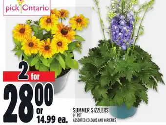 Metro SUMMER SIZZLERS offer