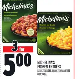Metro MICHELINA'S FROZEN ENTRÉES offer