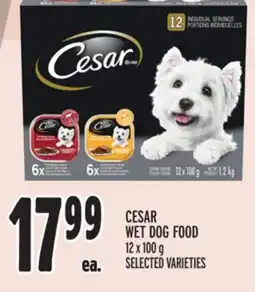 Metro CESAR WET DOG FOOD offer