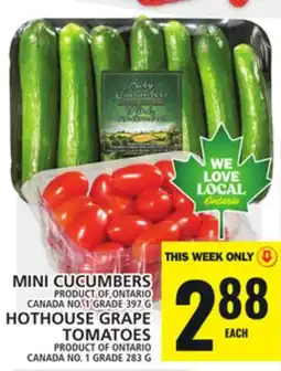 Food Basics HOTHOUSE GRAPE TOMATOES offer