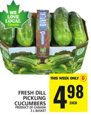 Food Basics FRESH DILL PICKLING CUCUMBERS offer