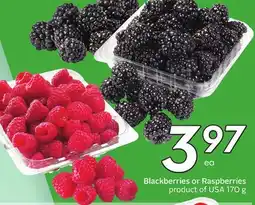 Sobeys Blackberries or Raspberries offer