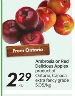 Sobeys Ambrosia or Red Delicious Apples offer