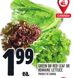 Metro GREEN OR RED LEAF OR ROMAINE LETTUCE offer