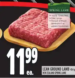 Metro NEW ZEALAND SPRING LAMB offer