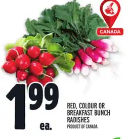 Metro RED, COLOUR OR BREAKFAST BUNCH RADISHES offer