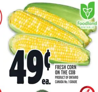 Metro FRESH CORN ON THE COB offer