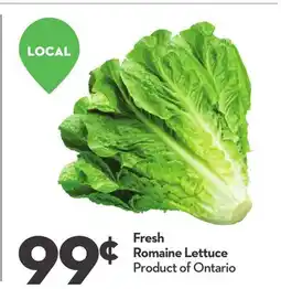 Longo's Fresh Romaine Lettuce offer