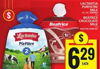 Food Basics LACTANTIA PURFILTRE MILK OR BEATRICE CHOCOLATE MILK offer