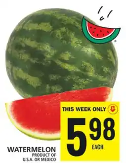 Food Basics WATERMELON offer