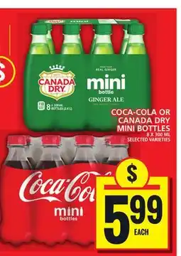 Food Basics COCA-COLA OR CANADA DRY MINI BOTTLES offer