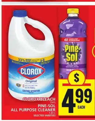 Food Basics CLOROX BLEACH PINE-SOL ALL PURPOSE CLEANER offer