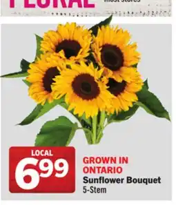 Foodland Sunflower Bouquet 5 - Stem offer