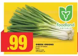 No Frills GREEN ONIONS offer