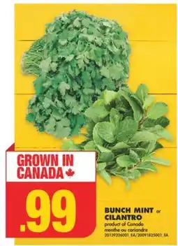 No Frills BUNCH MINT or CILANTRO offer
