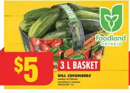 No Frills DILL CUCUMBERS offer
