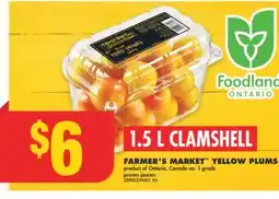 No Frills FARMER'S MARKET YELLOW PLUMS, 1.5 L CLAMSHELL offer