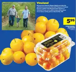 Real Canadian Superstore FARMER'S MARKET YELLOW PLUMS, , 1.5 L offer