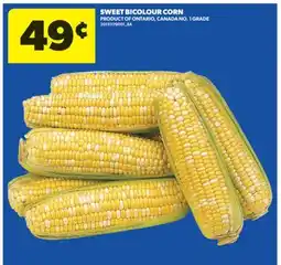 Real Canadian Superstore SWEET BICOLOUR CORN offer