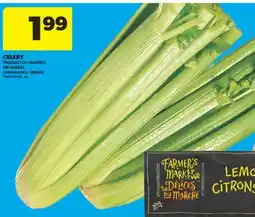 Real Canadian Superstore CELERY offer