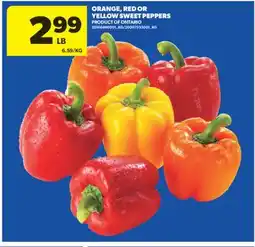 Real Canadian Superstore ORANGE, RED OR YELLOW SWEET PEPPERS offer