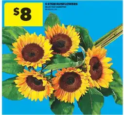Real Canadian Superstore 5 STEM SUNFLOWERS offer