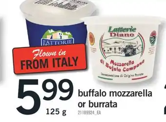 Fortinos BUFFALO MOZZARELLA OR BURRATA , 125g offer