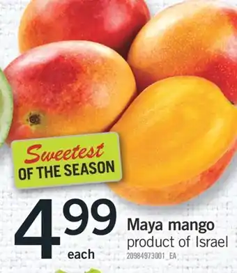 Fortinos MAYA MANGO offer