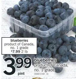 Fortinos BLUEBERRIES offer
