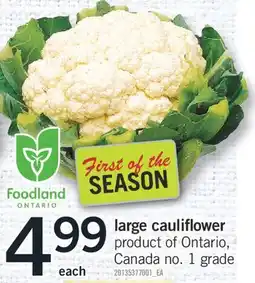 Fortinos large cauliflower offer