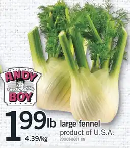 Fortinos LARGE FENNEL offer