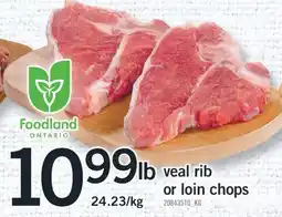 Fortinos VEAL RIB OR LOIN CHOPS offer
