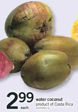 Fortinos WATER COCONUT offer