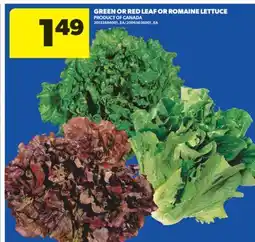 Real Canadian Superstore GREEN OR RED LEAF OR ROMAINE LETTUCE offer