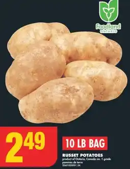 No Frills RUSSET POTATOES, 10 LB BAG offer