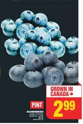 No Frills BLUEBERRIES, PINT offer