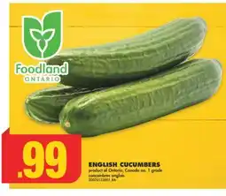 No Frills ENGLISH CUCUMBERS offer