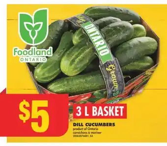 No Frills DILL CUCUMBERS, 3 L BASKET offer