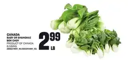 Loblaws CANADA BABY OR SHANGHAI BOK CHOY offer
