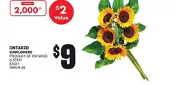 Loblaws SUNFLOWERS, 5 STEM EACH offer