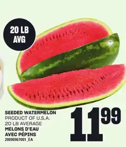 Independent Grocer SEEDED WATERMELON, 20 LB AVERAGE offer