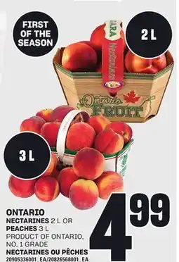 Independent Grocer NECTARINES 2 L OR PEACHES 3 L offer