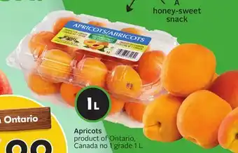 Sobeys Apricots offer