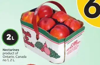 Sobeys Nectarines offer
