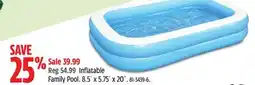 Canadian Tire Inflatable Family Pool offer
