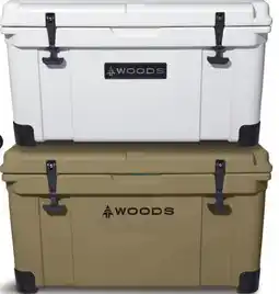 Canadian Tire Arctic Roto-Moulded Series Coolers offer