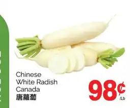 T&T Supermarket CHINESE WHITE RADISH offer